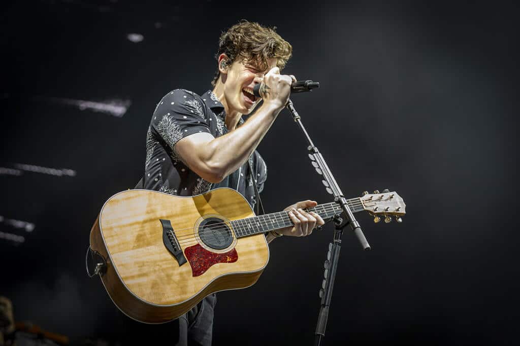 shawn mendes at bluesfest