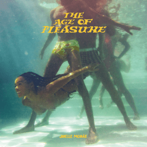 The Age of Pleasure by Janelle Monáe cover art.